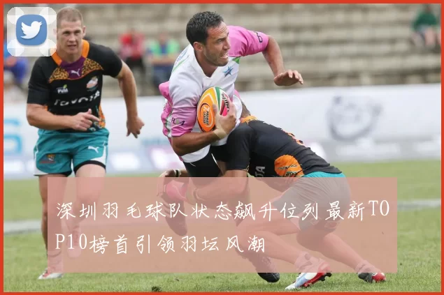 深圳羽毛球队状态飙升位列最新TOP10榜首引领羽坛风潮