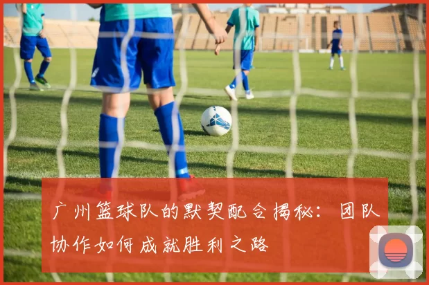 广州篮球队的默契配合揭秘：团队协作如何成就胜利之路