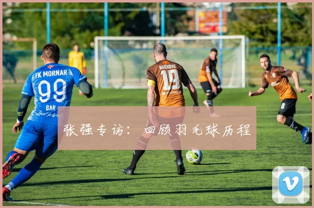 张强专访：回顾羽毛球历程