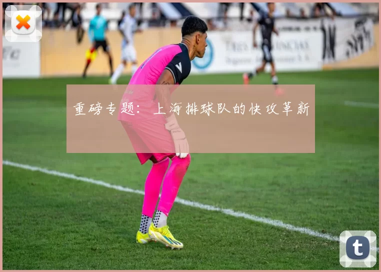重磅专题：上海排球队的快攻革新